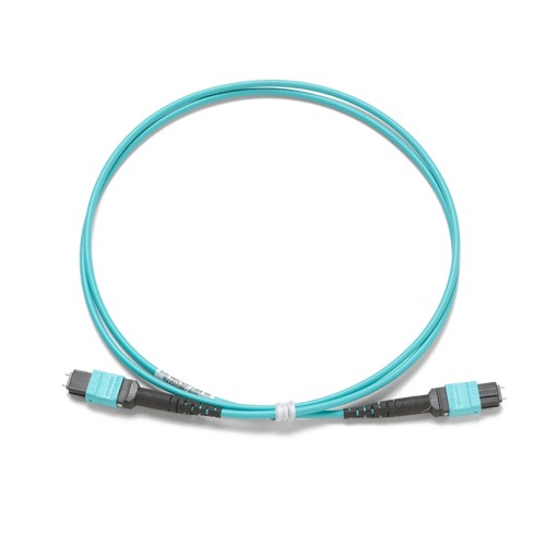 Шнур тестовый Fluke Networks TRC-MPO-PP-B