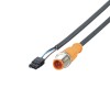 Соединительный кабель IFM ASTGH030MSS00,5H03 E12613