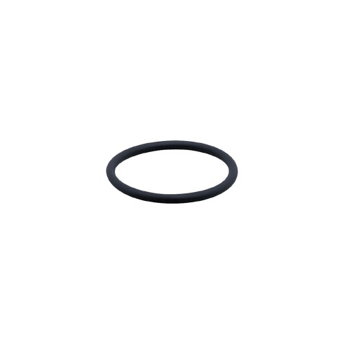 Уплотнительное кольцо IFM FKM VITON O-RING E30123
