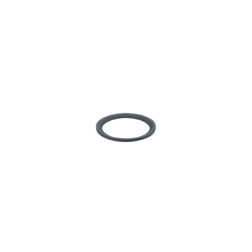 Прокладка IFM SEAL RING FFKM G1/2 E30513