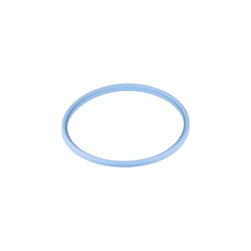 Прокладка IFM SEAL RING FKM DN125 E40547