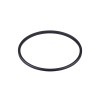 Прокладка IFM SEAL RING EPDM DN150 E40568