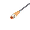 Соединительный кабель с вилкой IFM ASTGH030MSS0006H03 EVC842