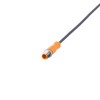 Соединительный кабель с вилкой IFM ASTGH050MSS0025C05 EVCB43