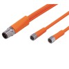 Соединительный кабель Y-образный IFM YDOGF040VAS00,6E04STGH040VAS EVT339