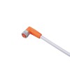 Соединительный кабель с розеткой IFM ADOAF030SCS0010T03 EVW072