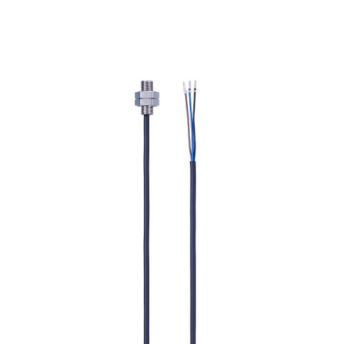 Индуктивный датчик IFM IEB31,5-BPKG/2M IE5395