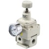 Регулятор прецизионный SNS IR3000-03
